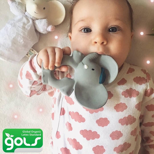 Organic Baby Teethers GOLS