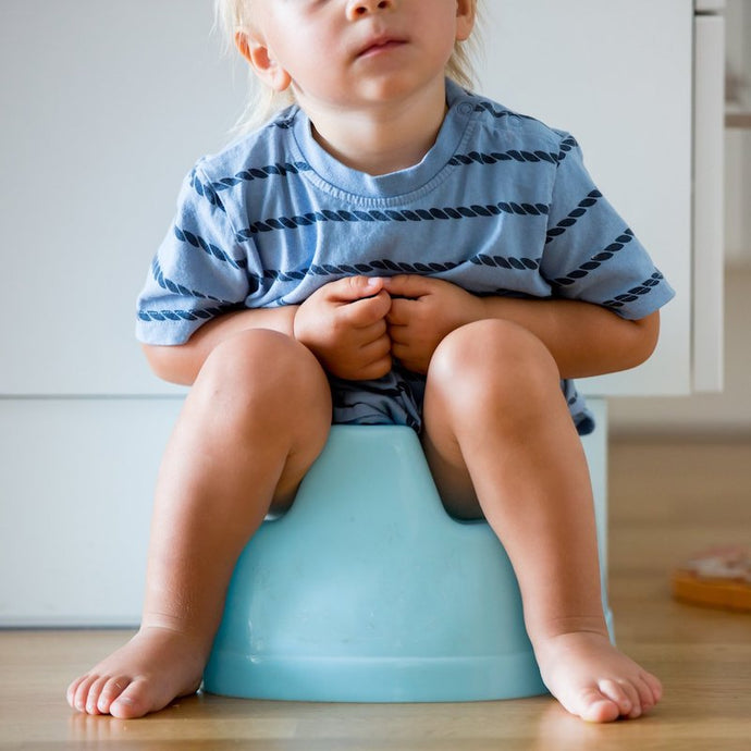 Potty Training Top Tips