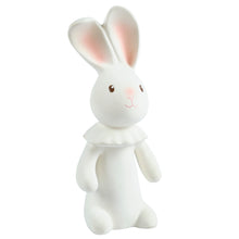 Havah the Bunny all rubber baby teether squeaker toy